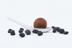 Blueberry Truffle with spoon and dry blueberries